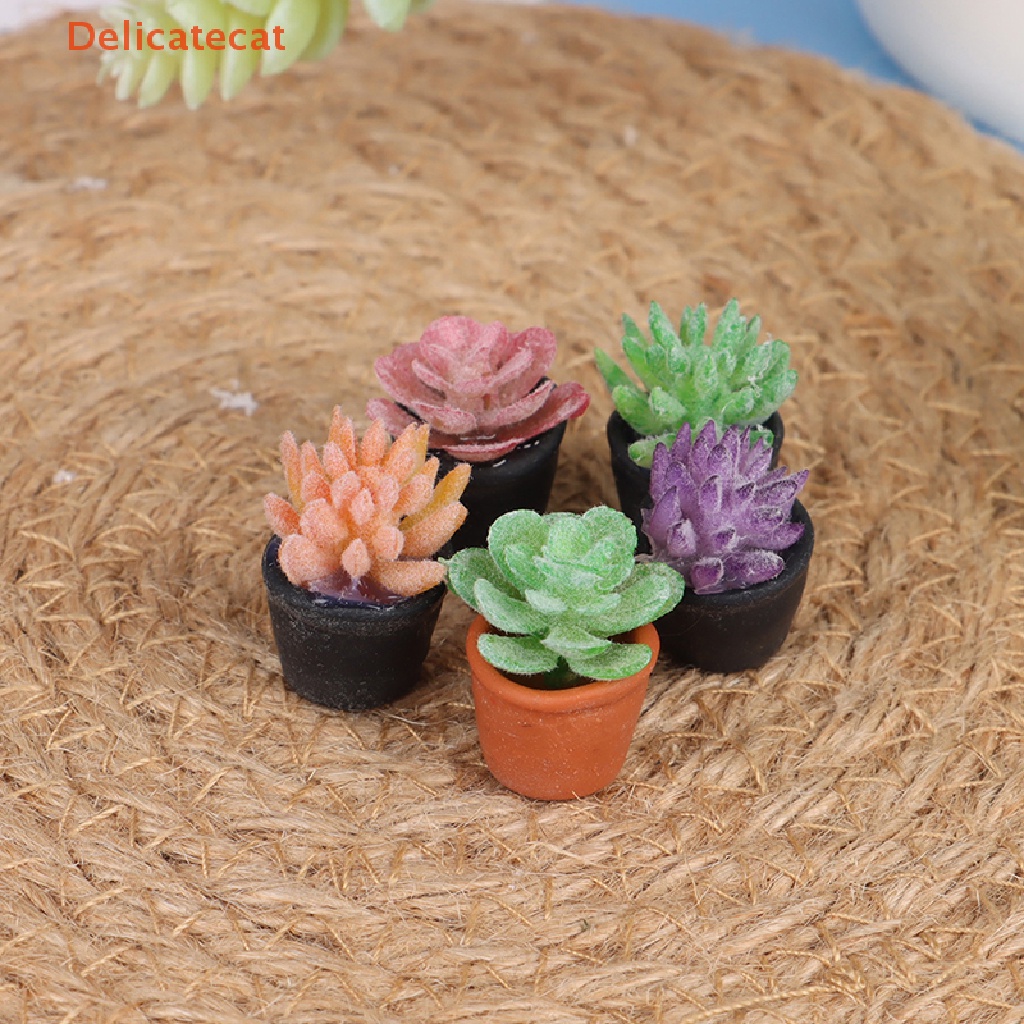 5 Chậu Cây Mini Trang Trí Nhà Búp Bê Tỉ Lệ 1: 12