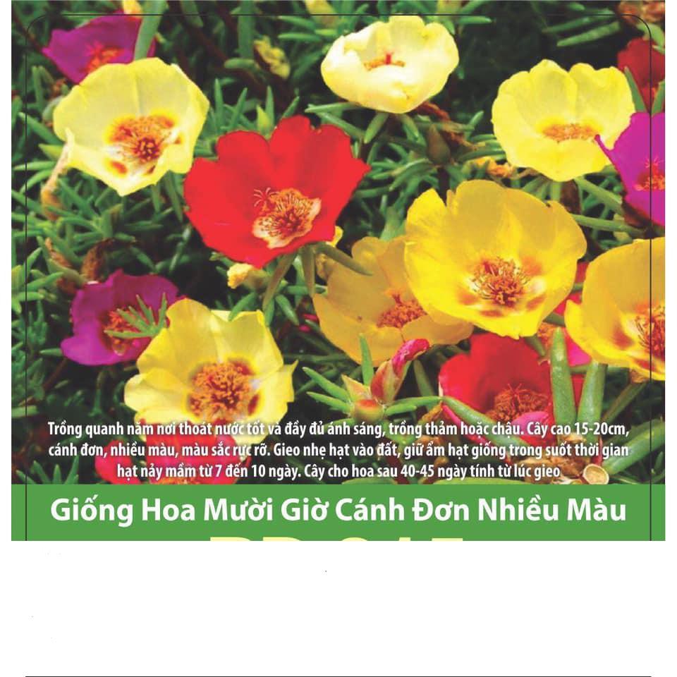 Hạt Giống Hoa Mười Giờ Cánh Đơn Nhiều Màu 100 Hạt