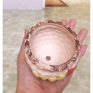 chậu sứ hình trồng sen đá