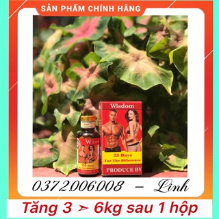Vitamin tăng cân Wisdom Weight (tăng 3~6kg 1 hộp)
