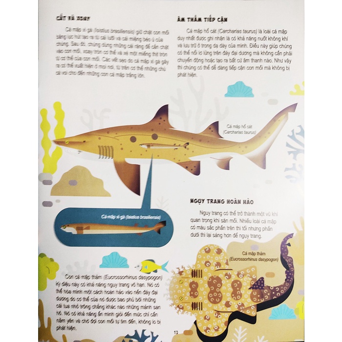 Sách thiếu nhi - Những Điều Chưa Biết Về Động Vật - Trọn bộ 6 cuốn Đinh Tị book