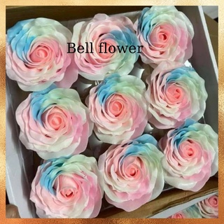 Hoa Sáp Dạ Quang Thơm Giá Sỉ, Hộp 9 Bông Hoa Hồng Sáp Pastel Đẹp Vĩnh Cửu Hà Nội Bó Tặng Sinh Nhật Trang Trí Bell Flower