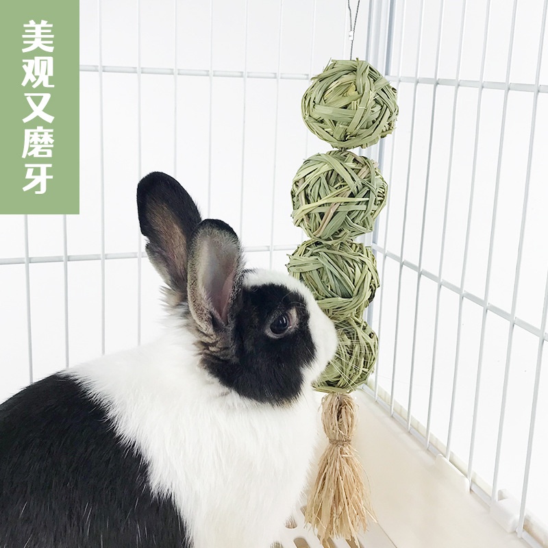Đồ chơi Bóng cỏ treo chuồng (chuỗi 4 bóng) cho Thỏ, Bọ và Chinchilla, Sóc, Vẹt