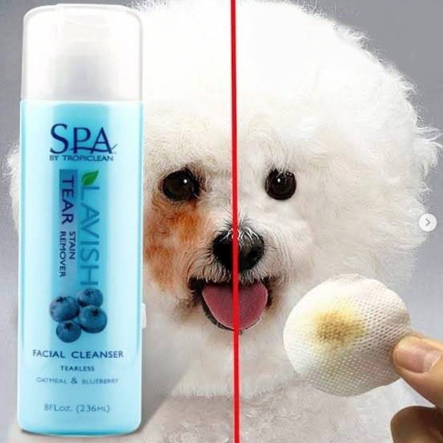 SỮA RỬA MẶT LÀM TRẮNG VÀ VỆ SINH VÙNG LÔNG QUANH MẮT CHIẾT XUẤT VIỆT QUẤT