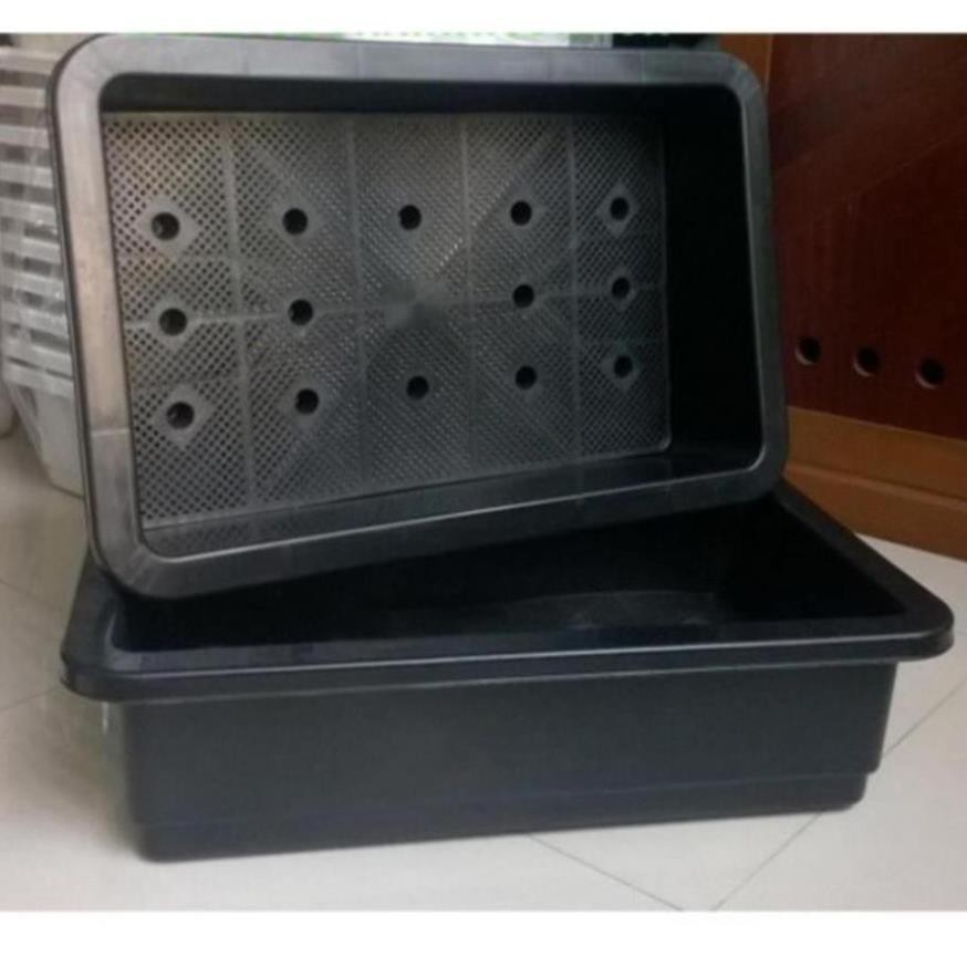 Combo 2 chậu đen chữ nhật to sâu trồng rau KT 68x42