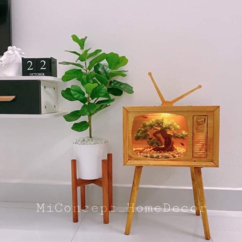 Bể Cá Gỗ Tivi Vintage