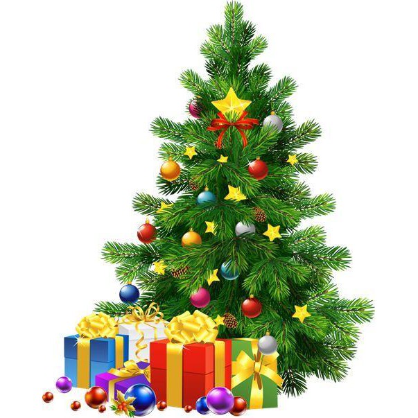 Quá Đẹp cây thông Noel cao 1m2 tặng kèm 2 sợi dây kim tuyến và 1 ngôi sao