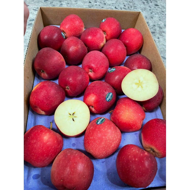 Set 5 trái Táo Dazzel khoang 1 kg