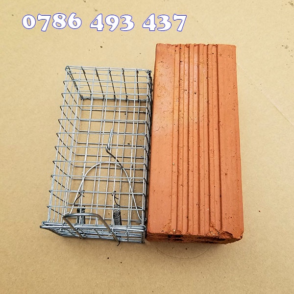 50 Lồng Bẫy Chuột Đồng Đường Mòn không cần sử dụng mồi