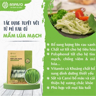 Mì hữu cơ giảm cân organic rau củ mầm lúa mạch anpaso, eat clean, ăn chay - ảnh sản phẩm 3