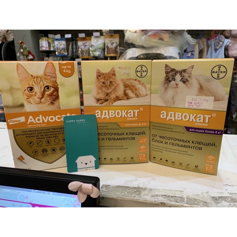 [Giá hủy diệt] Advocate Thuốc nhỏ gáy trị ve rận, ghẻ, giun sán - Advocate cho mèo mọi kích thước &lt;4KG và 4 - 8 KG