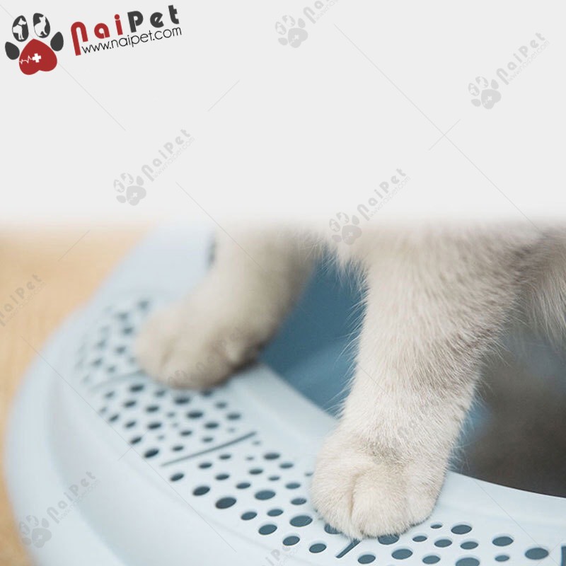 Chậu Đi Vệ Sinh Chậu Đựng Cát Hộp Đựng Cát Tai Mèo CDC018