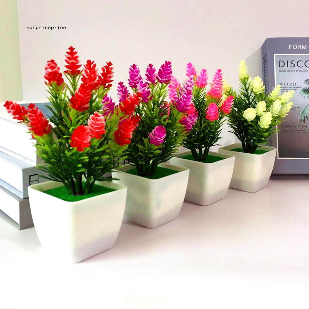 Chậu cây thông nhân tạo dành cho trang trí tiểu cảnh