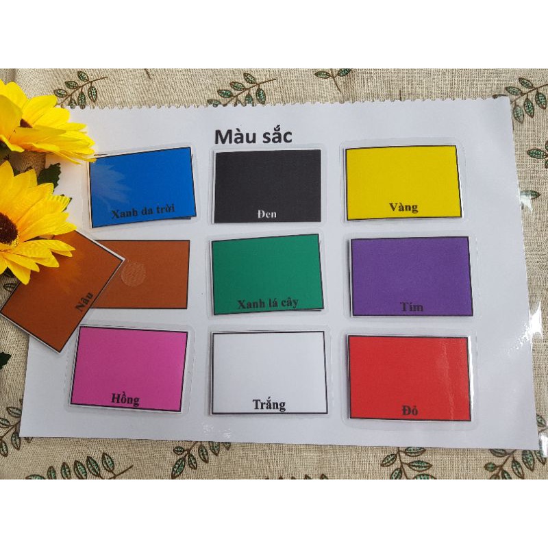 Nhận biết bảng màu, các màu cơ bản, rõ nét giúp bé phân biệt chuẩn màu