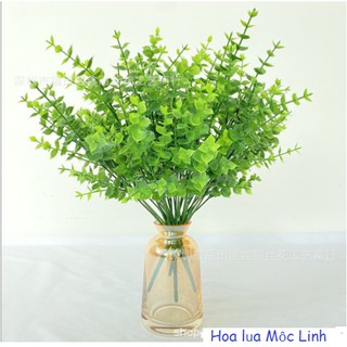 Chùm cây bạch đàn giả lá nhỏ trang trí - decor nhà cửa phụ kiện chụp ảnh