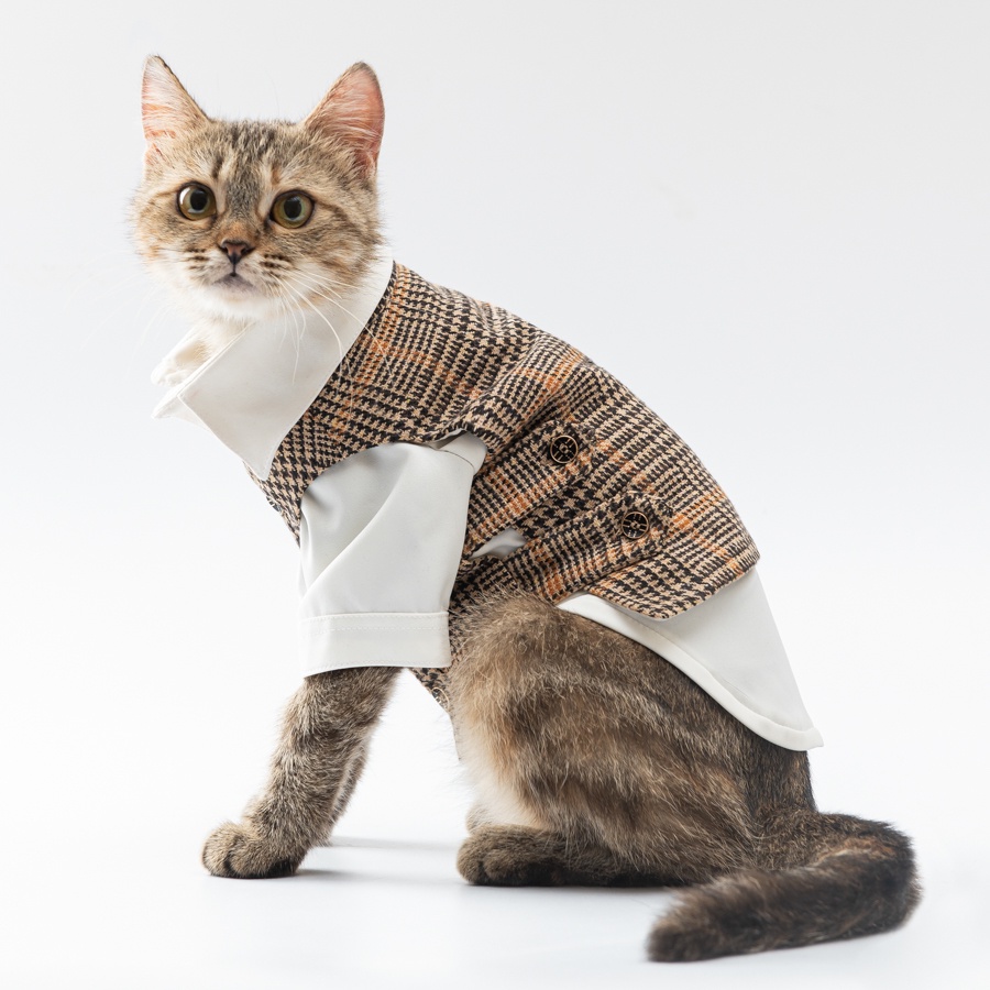 Set GILE sơ mi hàng hiệu cho thú cưng - SaboCoco - Sabo Gentleman