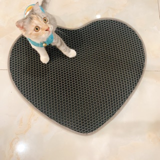 Thảm Lót 2 Lớp Chống Văng Cát Dễ Thương Siêu Rẻ