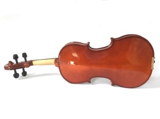 Đàn Violin Lảgon V01