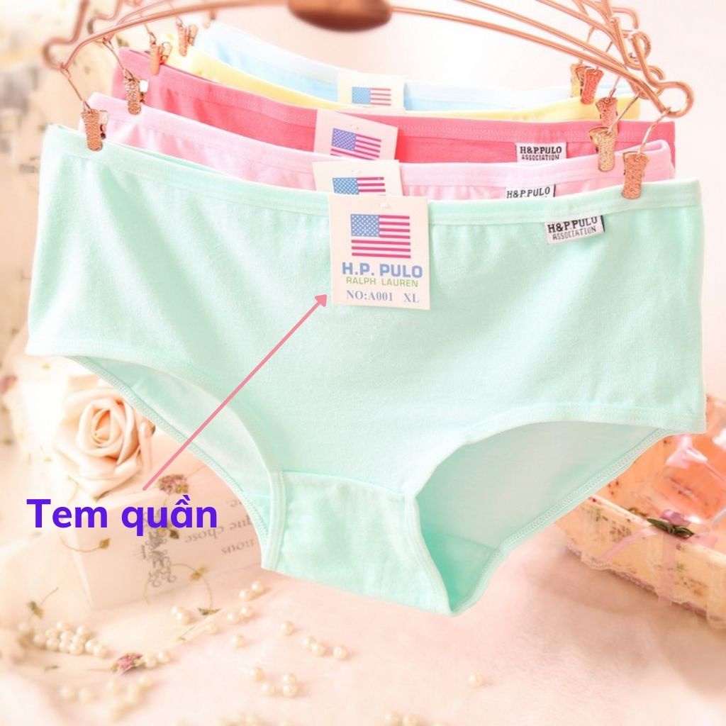 Quần lót nữ cute dễ thương kháng khuẩn mềm mại co dãn 4 chiều ( được chọn màu ) DOPICO L1678