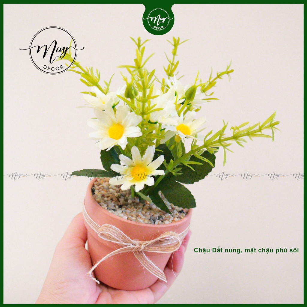 Chậu cây giả để bàn trang trí chậu Gờ Vân Mây 8x7cm