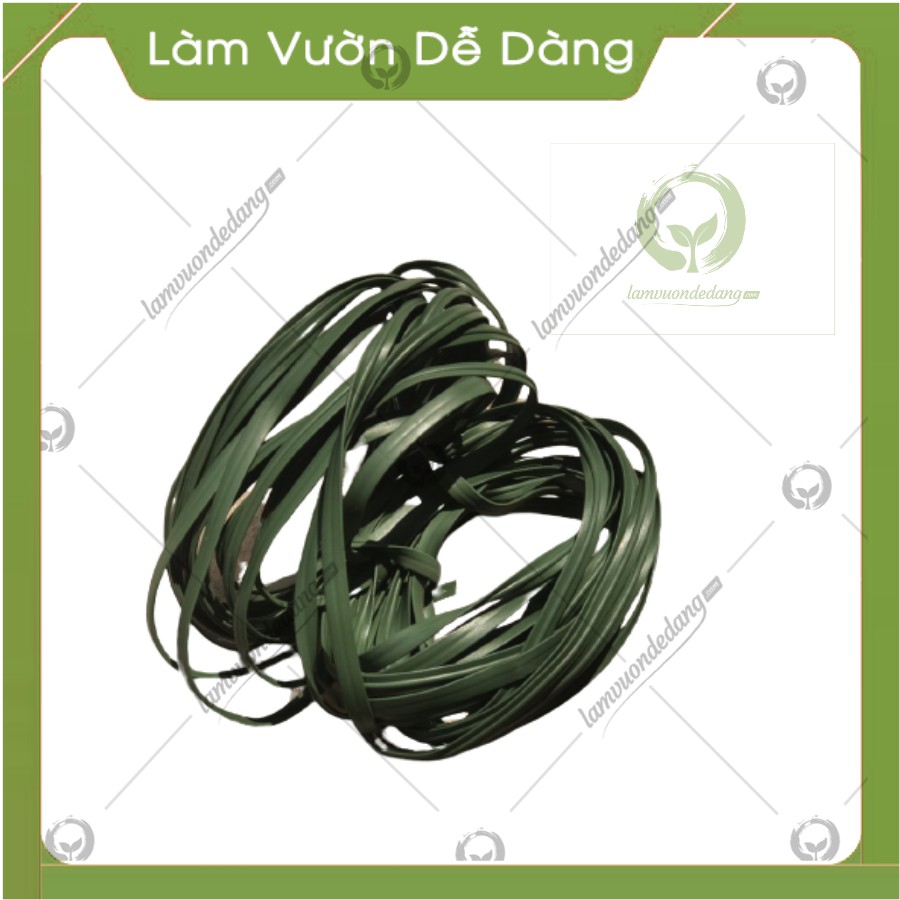 DÂY NHỰA DẺO XANH BUỘC CỐ ĐỊNH TẠO DÁNG CÂY