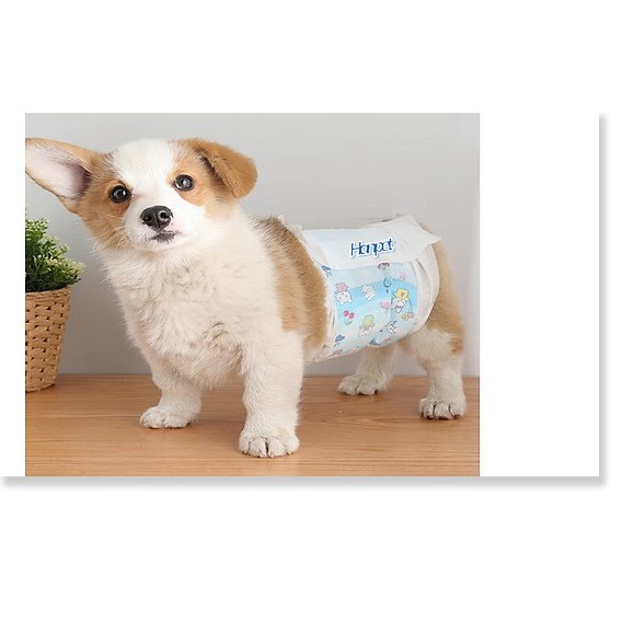 Hanpet.GV- Bỉm quần chó &amp; Tã lót khay vệ sinh chó (đủ size) chất liệu giấy siêu thấm hút có thể dùng cho chó và mèo