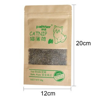 Cỏ catnip bạc hà cho mèo