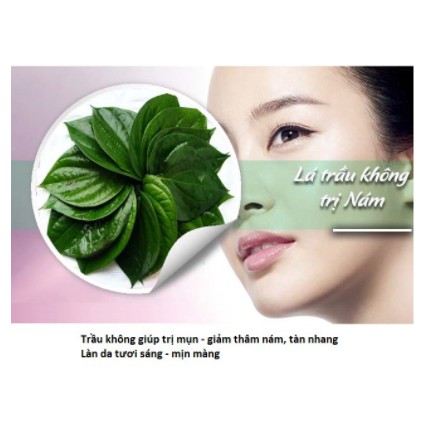 BỘT LÁ TRẦU KHÔNG 100GR