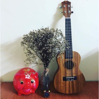 Đàn ukulele concert giá rẻ - ảnh thật