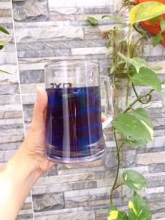 Hoa và hạt giống hoa đậu biếc