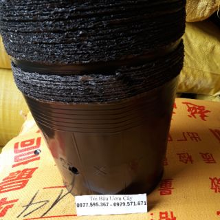 túi bầu ươm cây các size