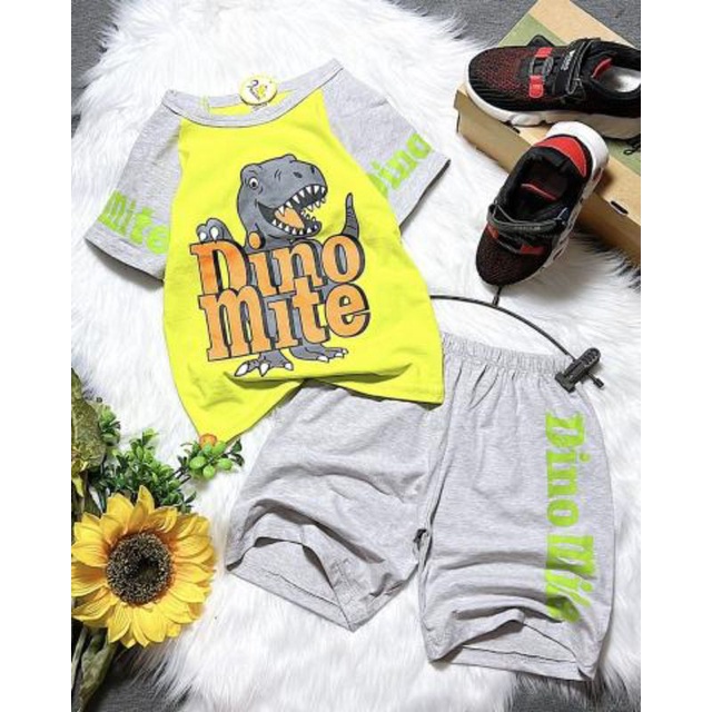 Bộ tay cộc quần ngố cho bé trai thun cotton 4 chiều mềm mát