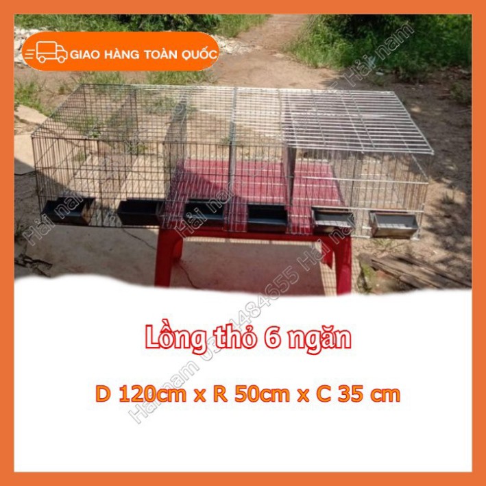 Lồng nuôi thỏ thịt - Chuồng nuôi thỏ 6 ô
