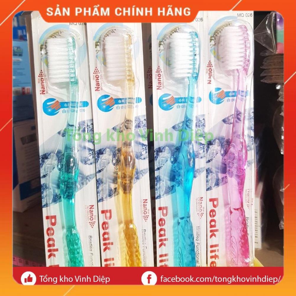 Combo 1 hộp 20 bàn chải đánh răng Hàn Quốc cán trong loại mềm đẹp