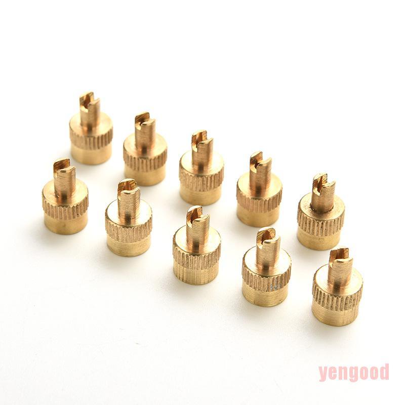 Set 10 nắp van hơi kim loại đầu có chức năng tháo lõi van