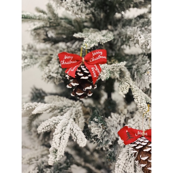 TRÁI THÔNG KHÔ PHỦ TUYẾT/ TRÁI THÔNG TRANG TRÍ