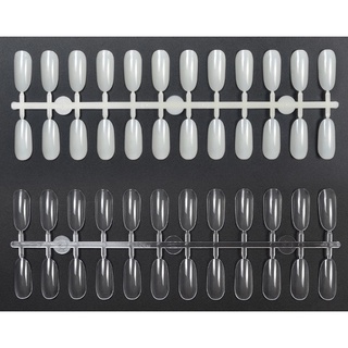 móng vỉ tròn bịch 240 móng