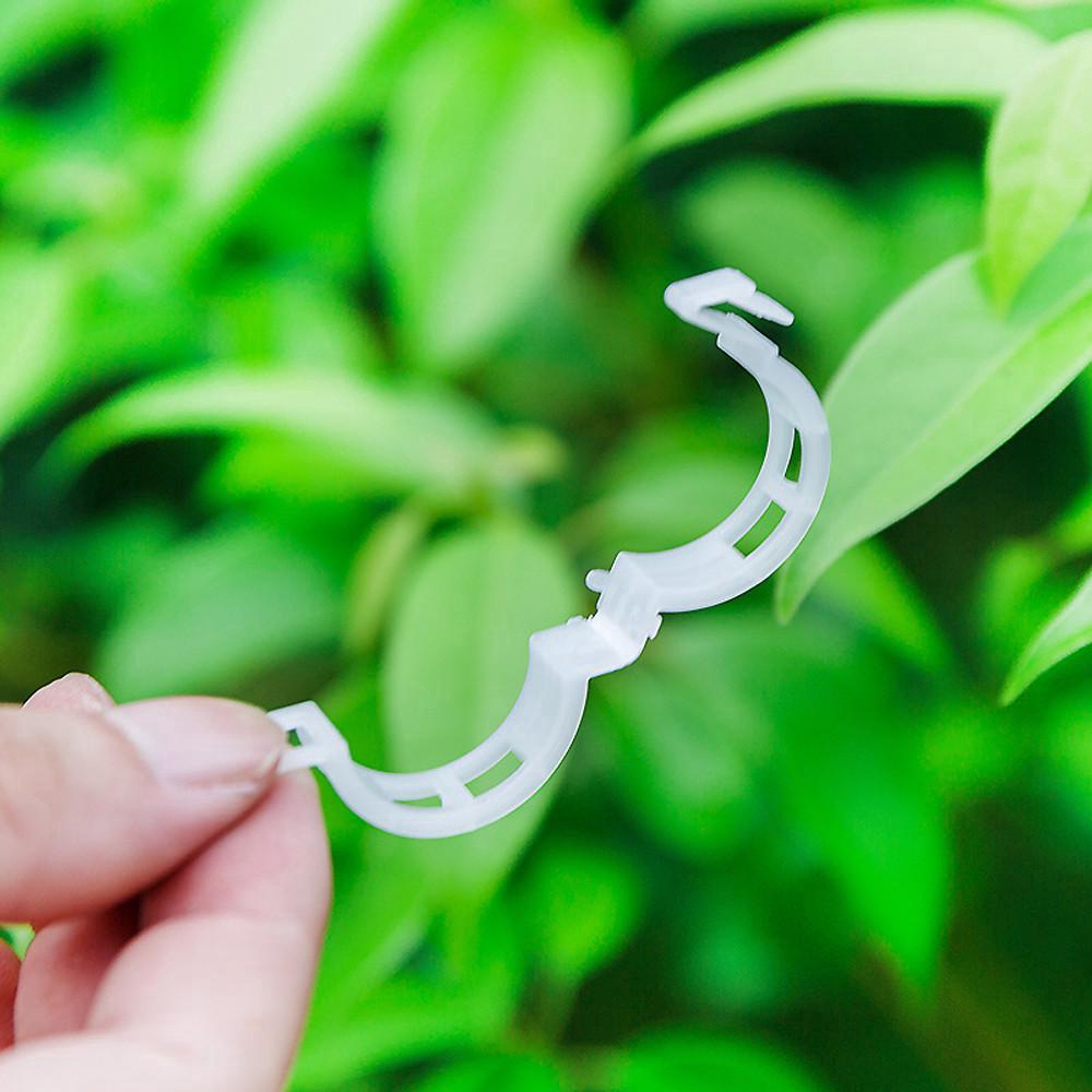 Bộ 50 kẹp nhựa cố định cây leo giàn/ cây thân leo/ cây lồng kính
