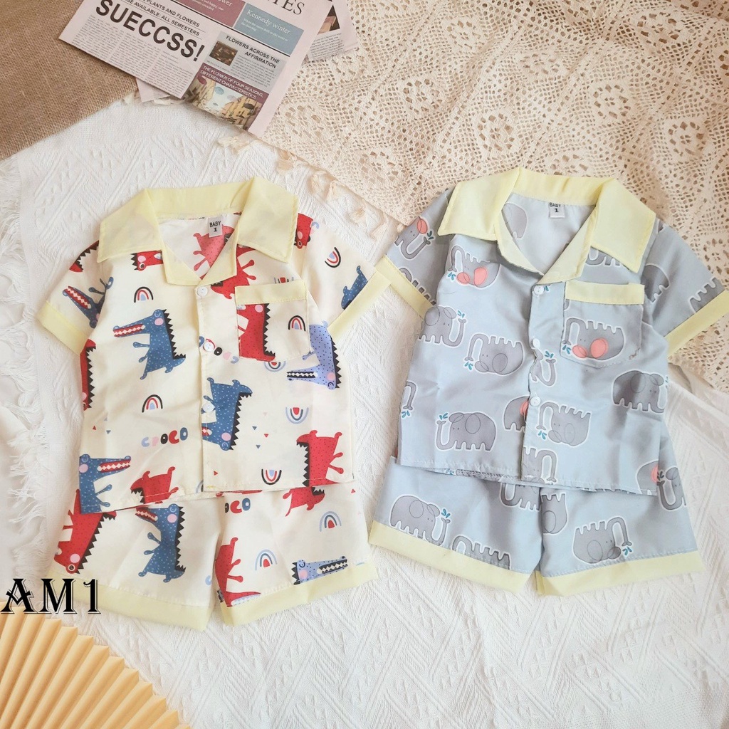 Đồ bộ cho bé pijama dài tay AM798 - đồ bộ bé trai và đồ bộ bé gái cộc tay xinh xắn AM935