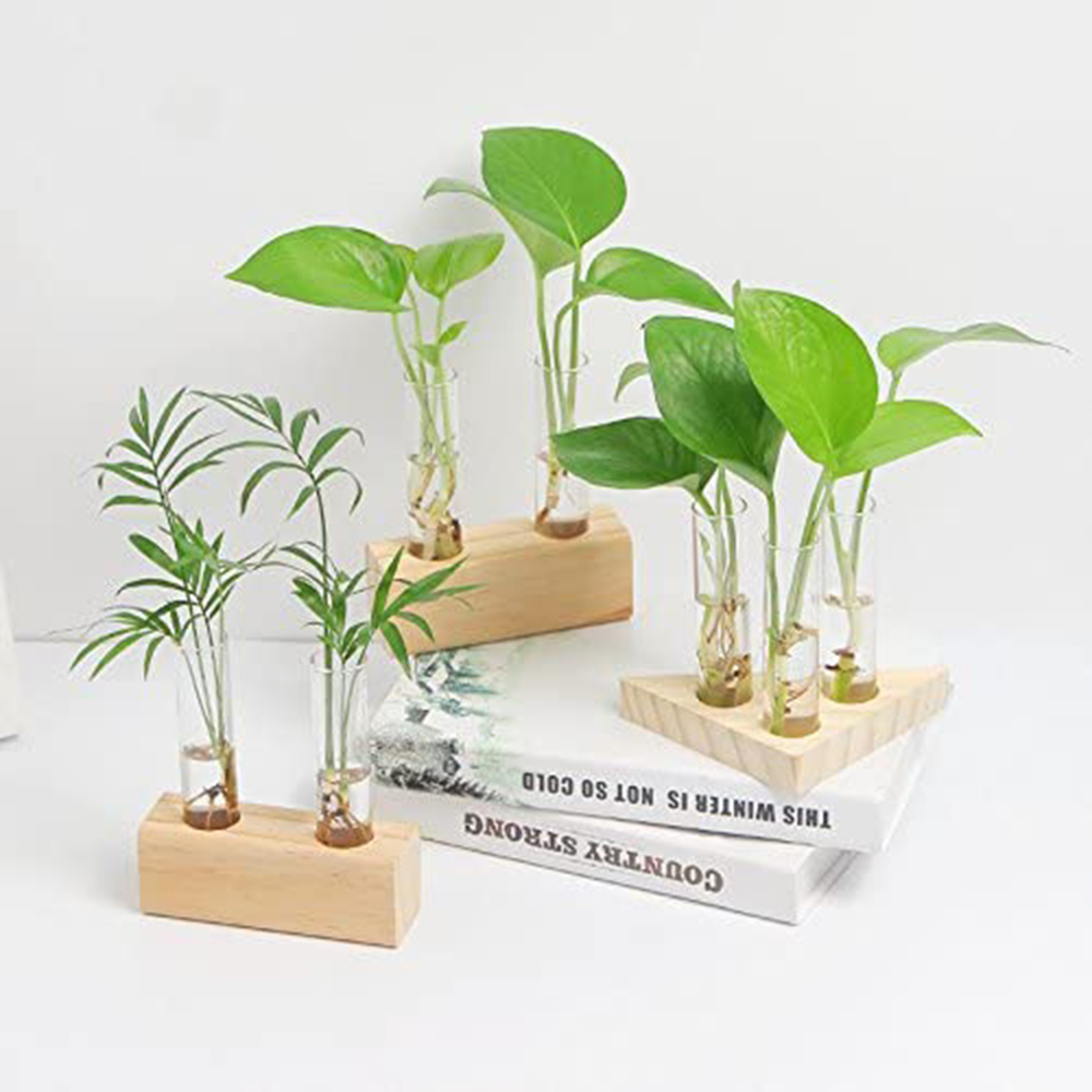 Bình Hoa Thủy Tinh Có Giá Đỡ Bằng Gỗ Sáng Tạo