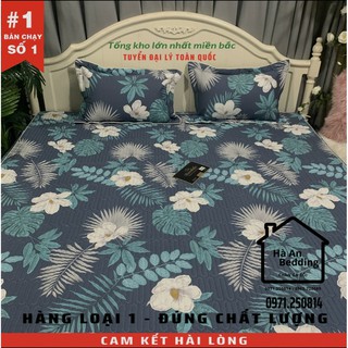 Bộ ga gối trần bông BAMBILOO cotton nhật