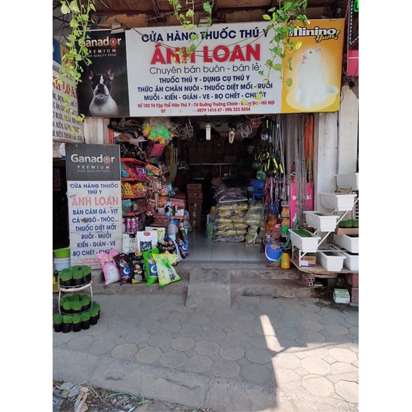 Cát vệ sinh siêu vón cho mèo Cát Box 16 lít