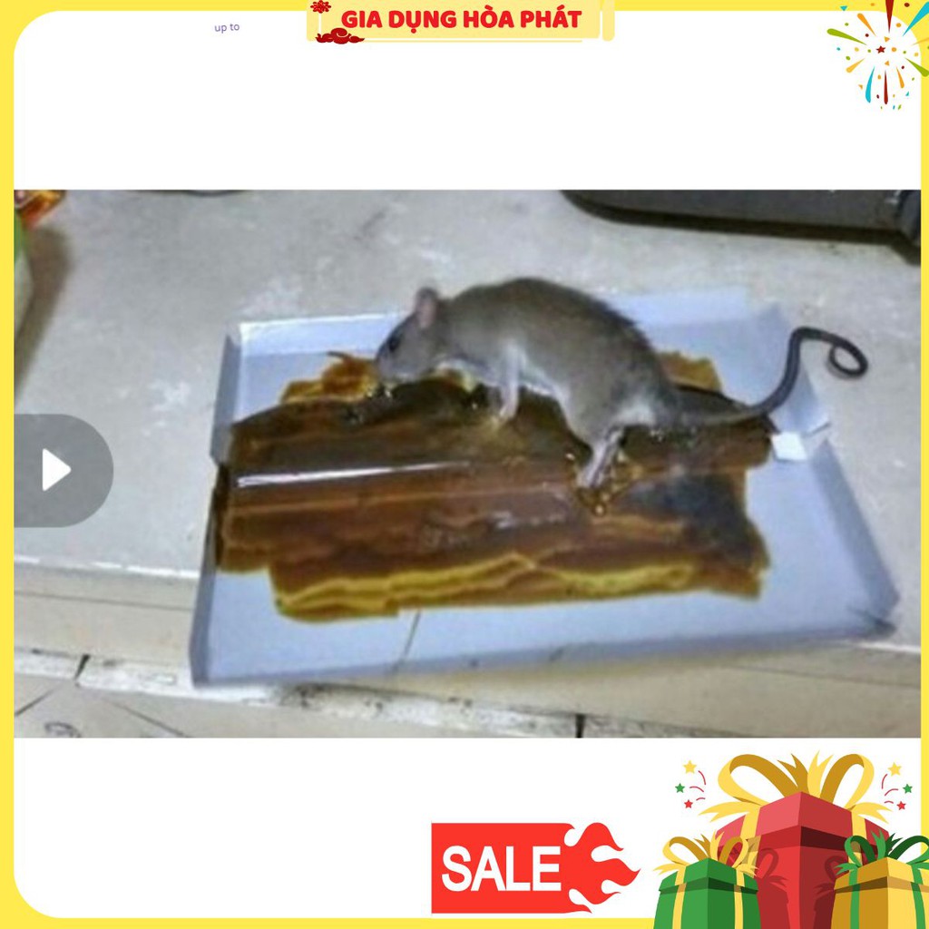 Miếng keo dính chuột siêu dính xịn -TẶNG thêm 1 khi mua 10 miếng