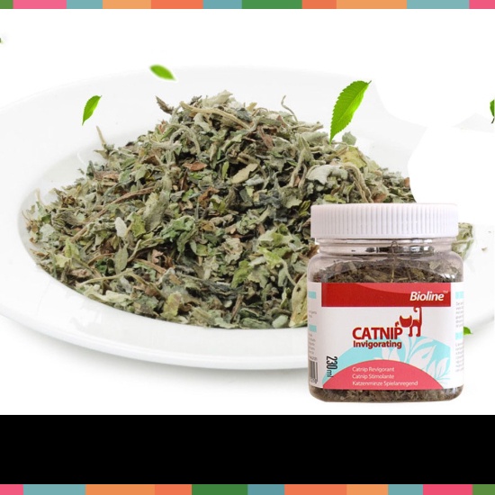 Cỏ mèo bạc hà tươi khô catnip cho mèo gửi phê Bioline dạng hộp 230g