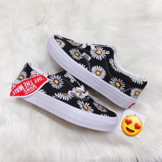 Vans classic hoa cúc