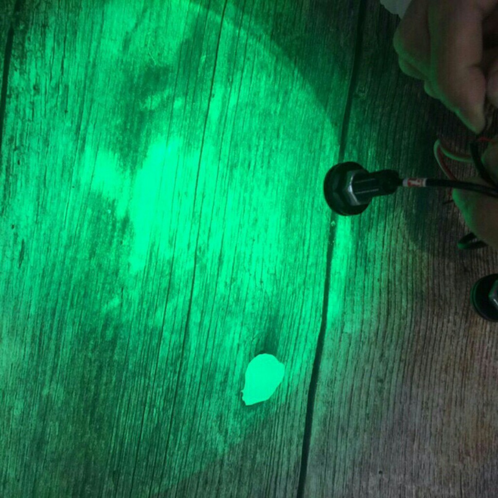 ĐÈN Xi Nhan Mẫu Cúc Áo- DXNCA