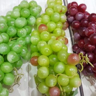 Chùm nho giả loại quả bé
