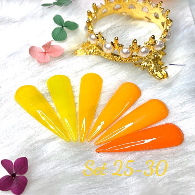 Set 6 sơn gel mldea( mã 25->30)