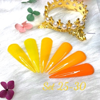 Set 6 sơn gel mldea