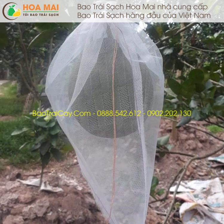 100 Túi bao trái Bưởi 30x35 lưới mùng - hàng chính hãng Hoa Mai